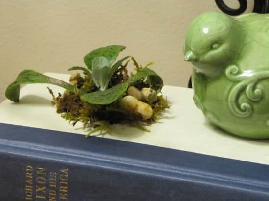 recycled-book-planter1