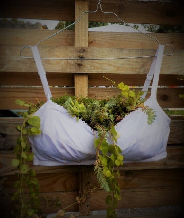 Display your Upcycled Bra Planter by using a clothes hook.