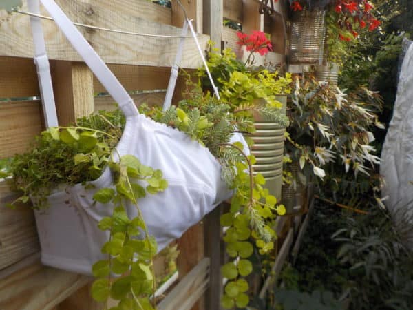 Upcycled Bra Planter is suitable for annuals.