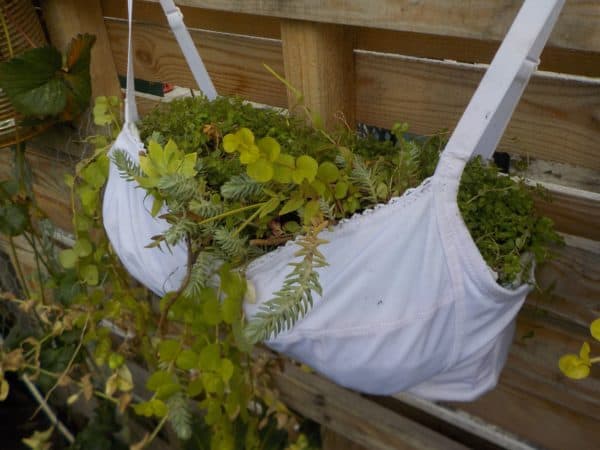 https://static.recyclart.org/wp-content/uploads/2017/08/recyclart.org-breast-cancer-awareness-upcycled-bra-planter-drole-de-jardiniere-01-6-600x450.jpg