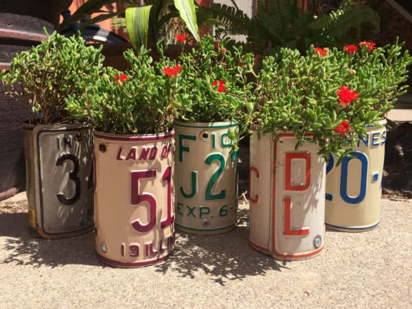 Create License Plate Planters from upcycled plates that you can find free or cheap.